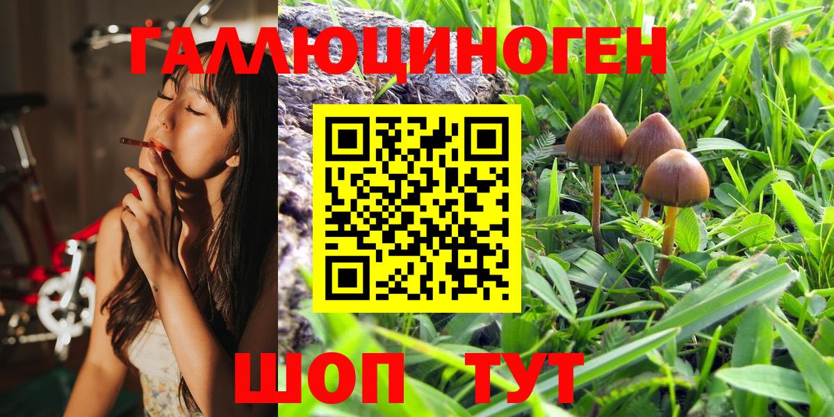 Партизанск  Галлюциногенные грибы Magic Shrooms  Вход с VPN 